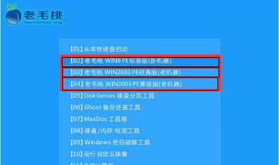 轻松学会使用U盘为电脑装系统（U盘装系统教程，快速上手轻松解决电脑问题）