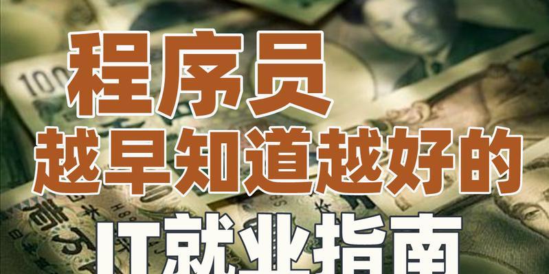 程序员行业（深度解析程序员行业的发展前景和职业要求）