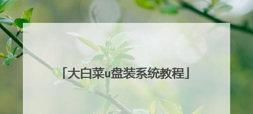 大白菜使用教程（如何将大白菜变成营养丰富的佳肴）