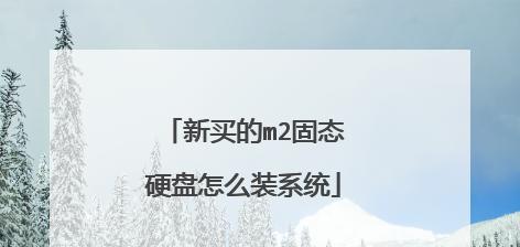 新固态硬盘安装系统教程（以新固态硬盘如何安装系统，U盘启动系统教程及技巧）
