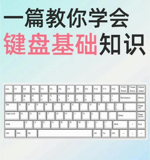 如何正确分区新电脑（简明易懂的新电脑分区教程）