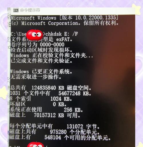 如何正确使用低速SD卡（教你充分利用低速SD卡的储存空间）