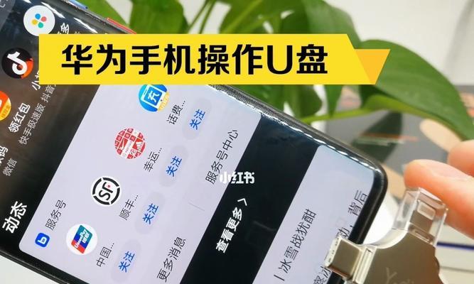 使用U盘装系统的教程（一步步教你如何使用电脑U盘和手机U盘装系统）